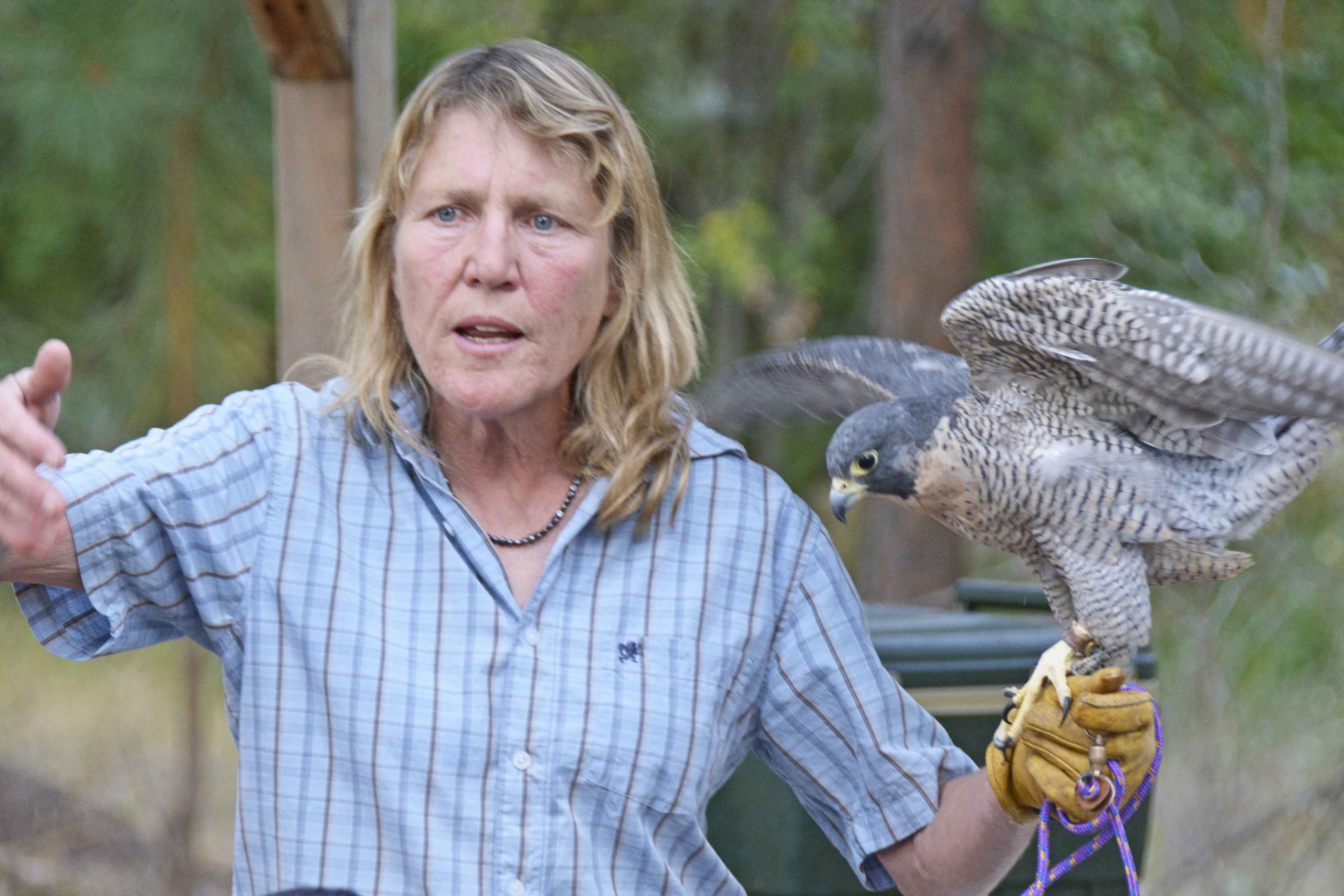 Kate Davis: Works from a Lifetime Outdoors